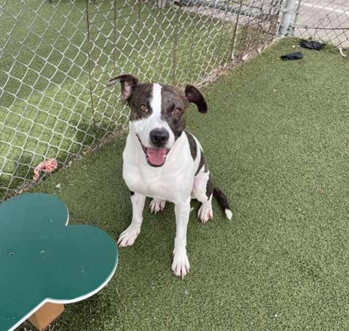 Photo of PETEY