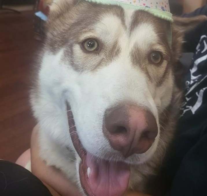 Photo of ECHO