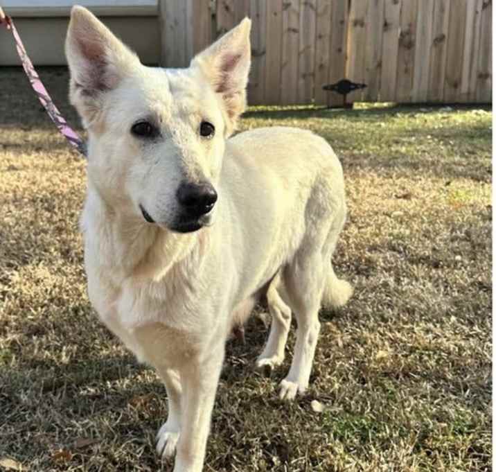 Photo of Sadie