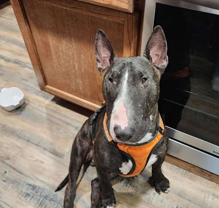 Photo of Cedric