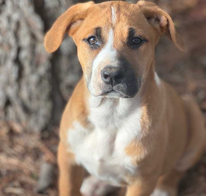 Photo of Remi