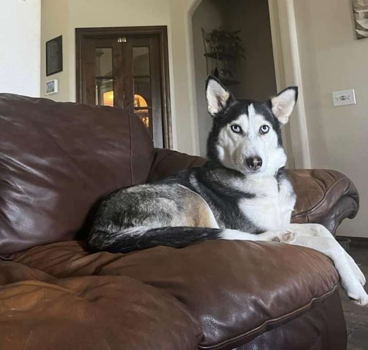 Photo of Molly