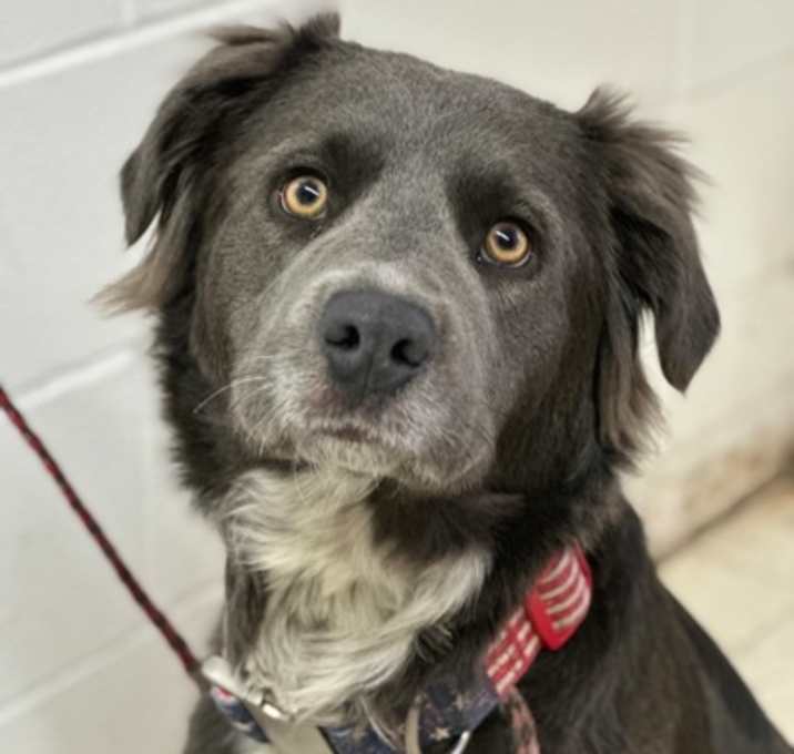 Photo of Chica