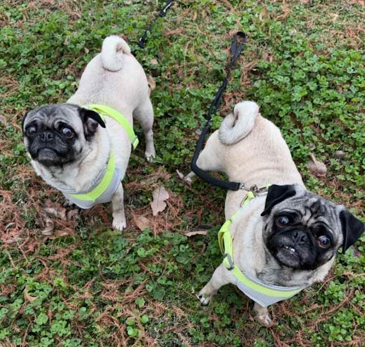 Photo of Russell and Milo