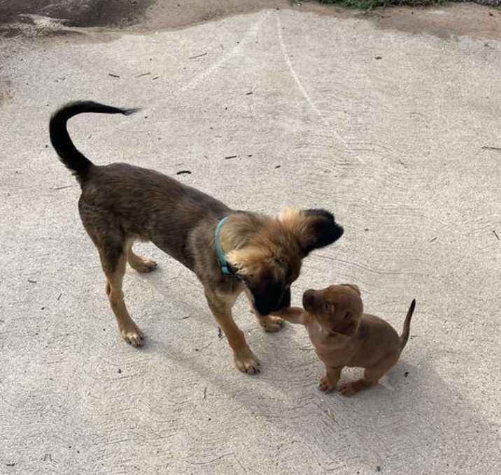 Photo of Zeek and Sofia
