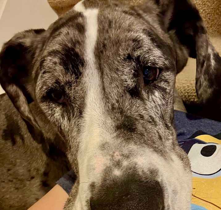 Photo of Bentley