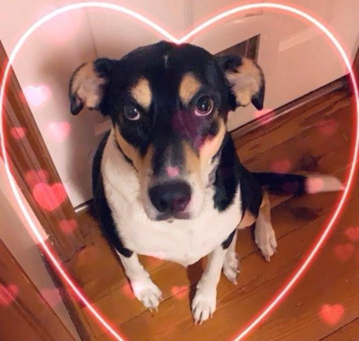 Photo of Lady