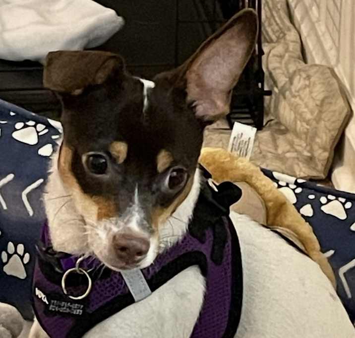 Photo of Eddie