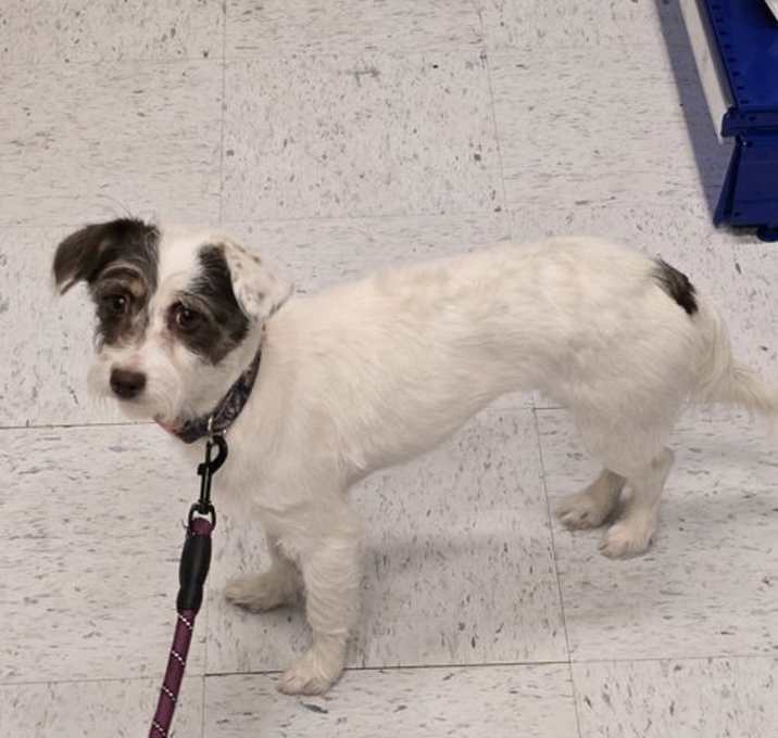 Photo of Lily Rose