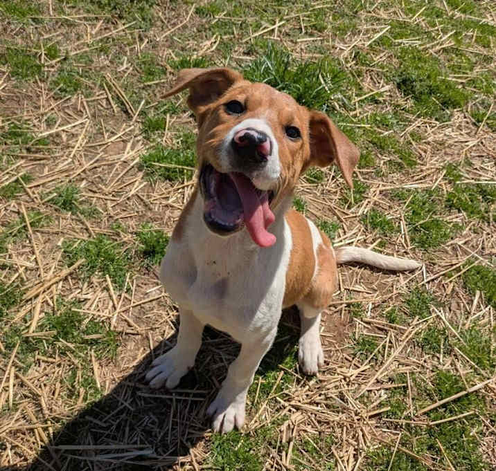 Photo of Polly