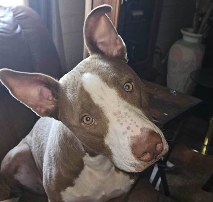 Photo of REX #6