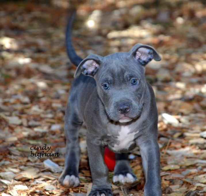 Photo of Baby Mickey