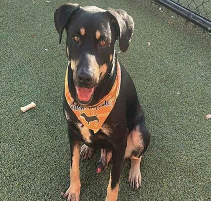 Photo of MACHO