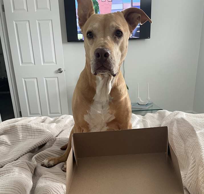 Photo of Penny