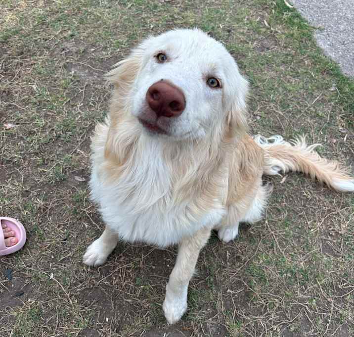 Photo of Gus