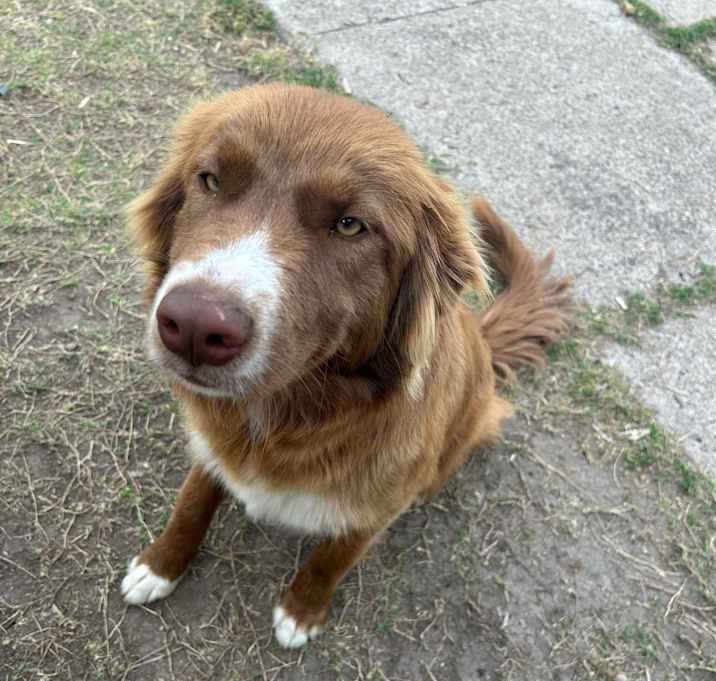 Photo of Frijole