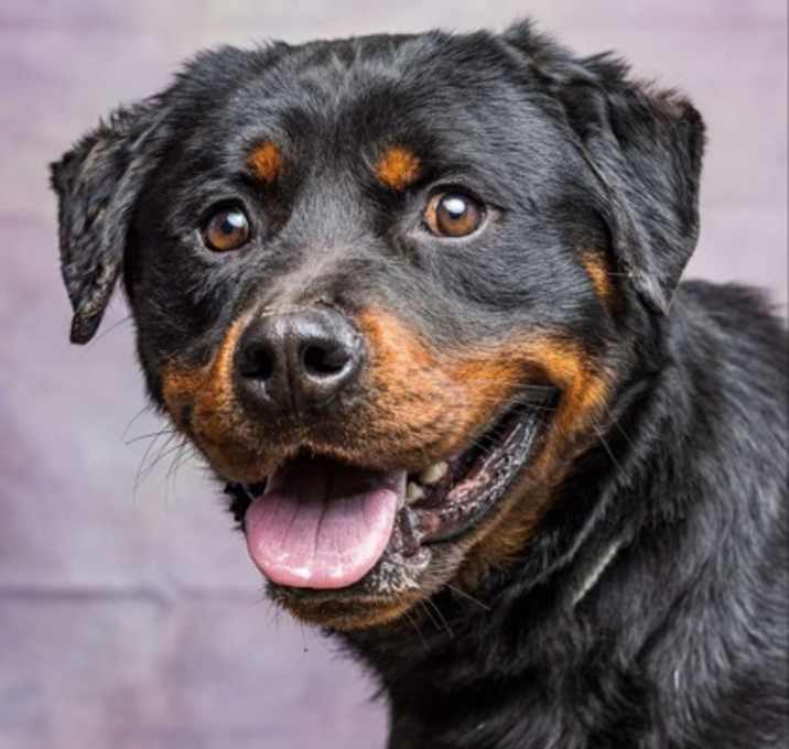Photo of Bane