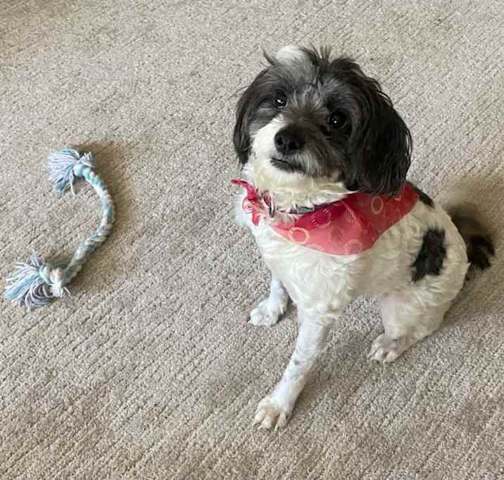 Photo of Chloe