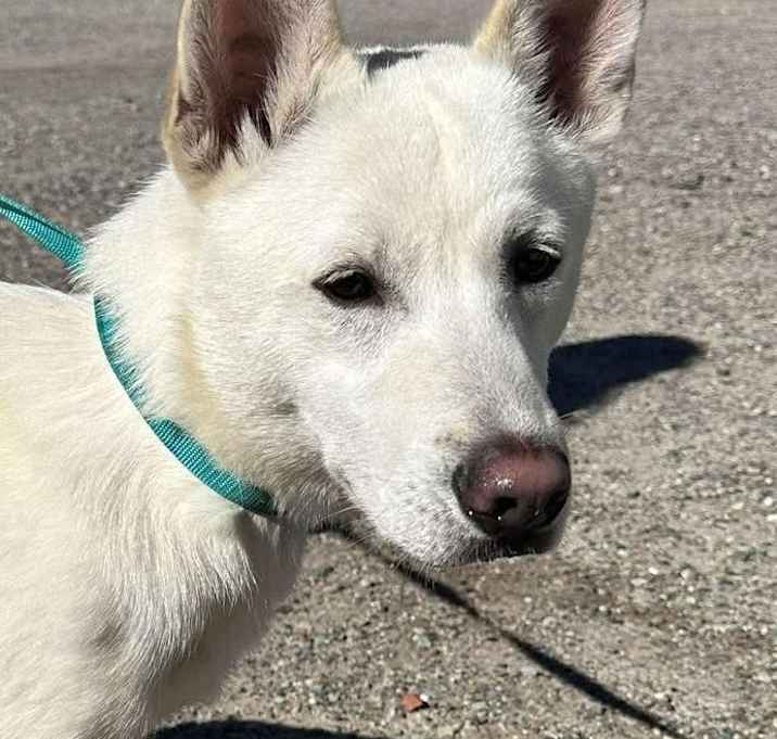 Photo of LUMI