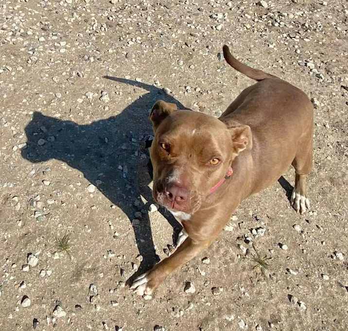 Photo of Jazz