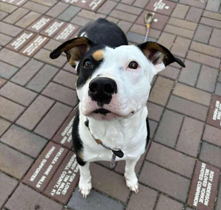 Photo of Holly