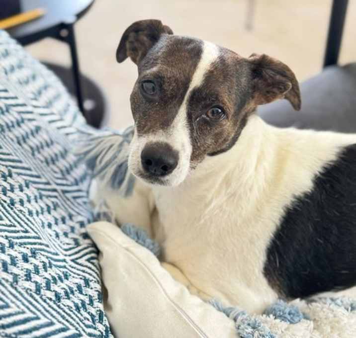 Photo of Penny