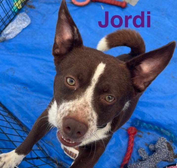 Photo of Jordie