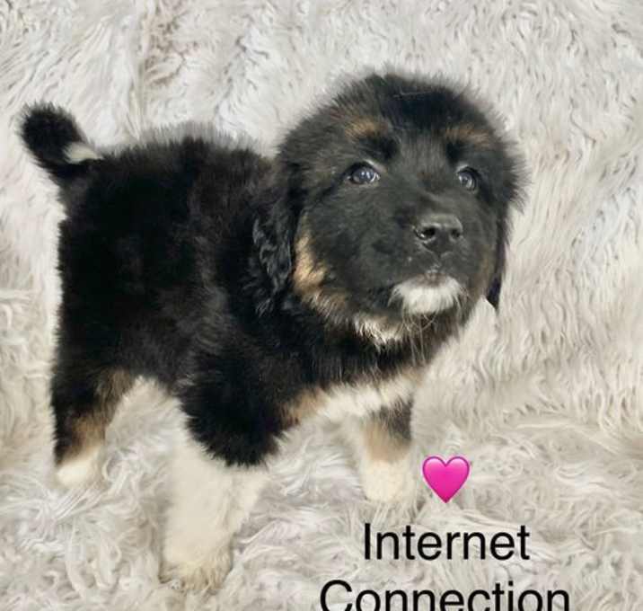 Photo of Internet Connection