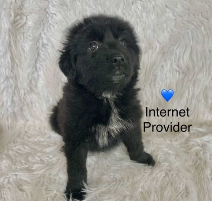 Photo of Internet Provider
