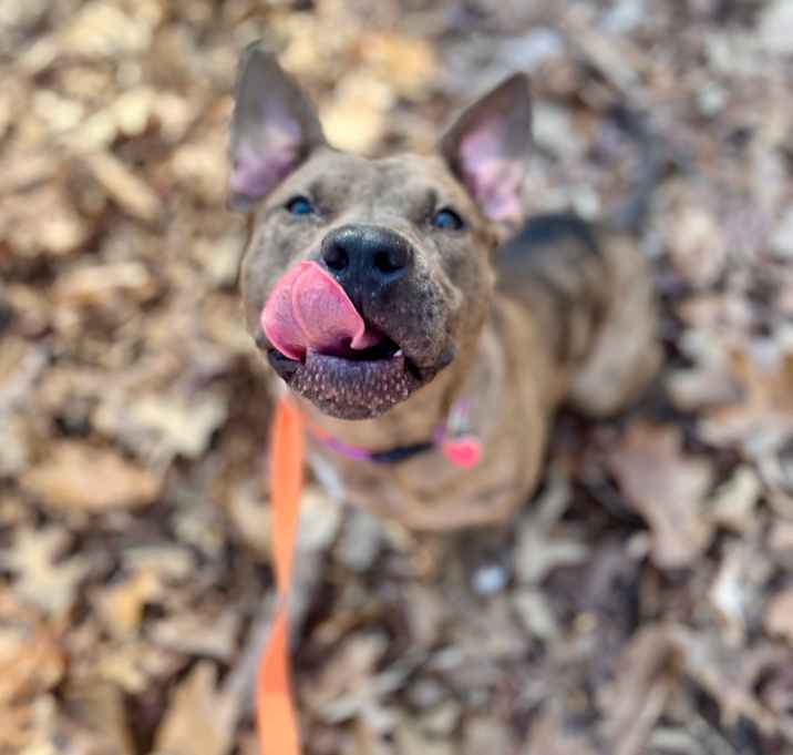 Photo of Coco