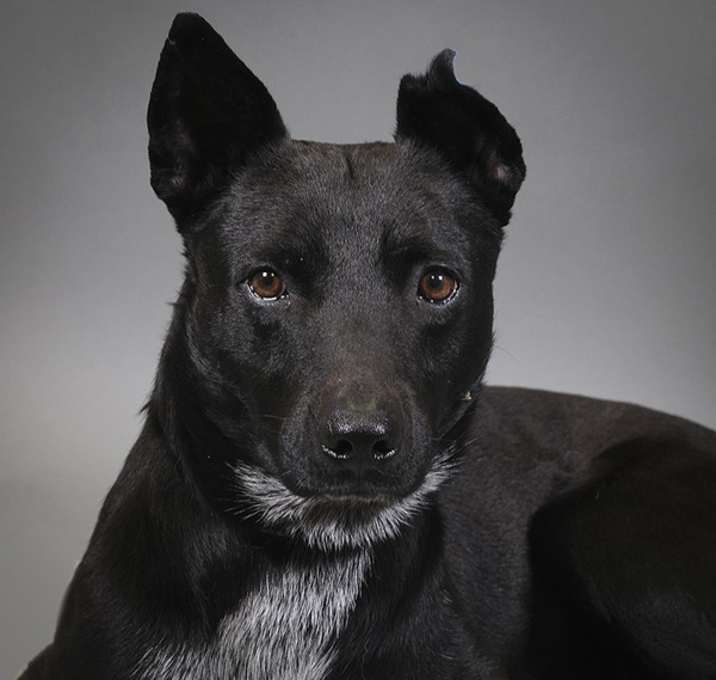Photo of Douglas