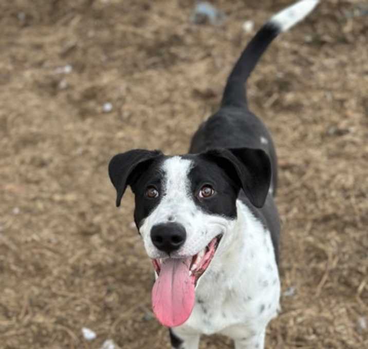 Photo of Zephyr