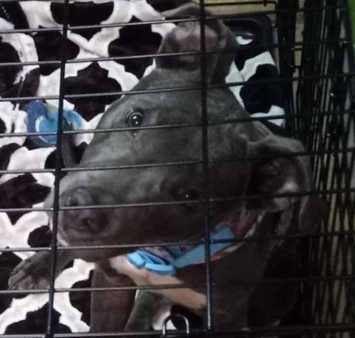 Photo of Blue