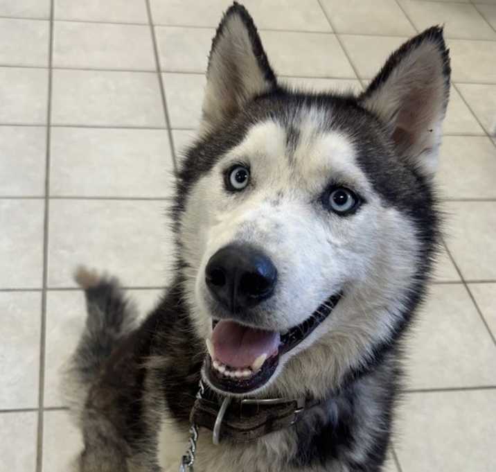 Photo of Kai