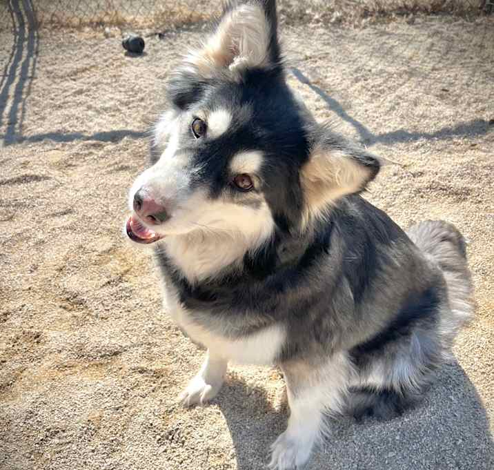 Photo of Josie 
