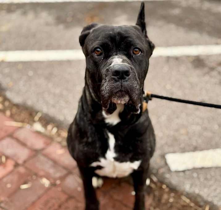 Photo of Athena