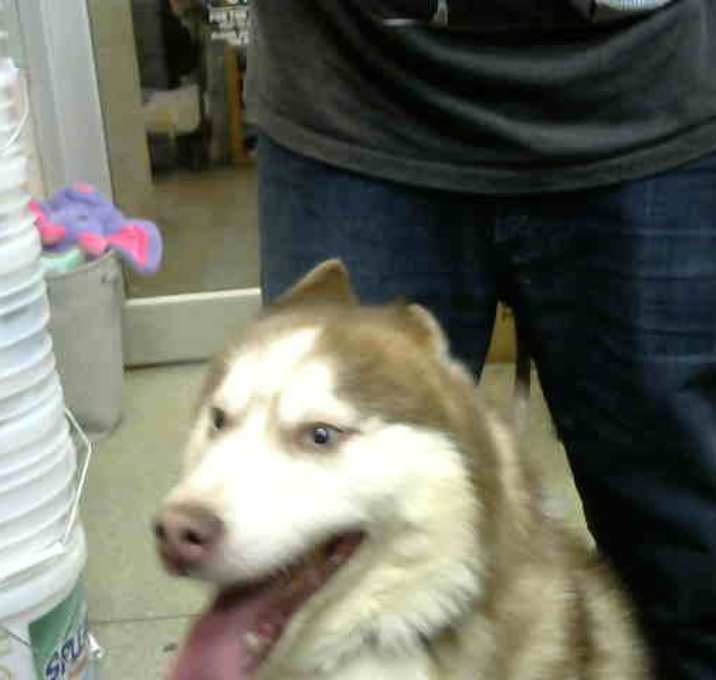 Photo of CODA