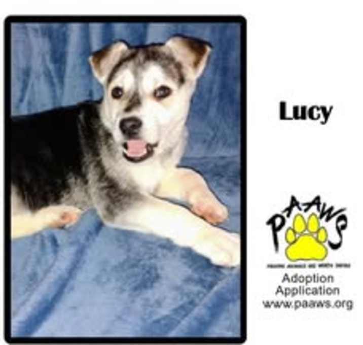 Photo of Lucy