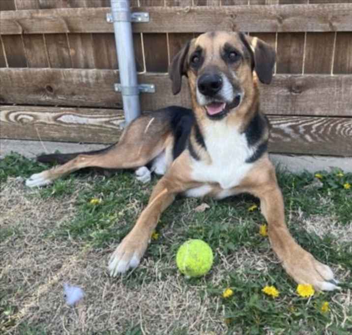 Photo of JETHRO