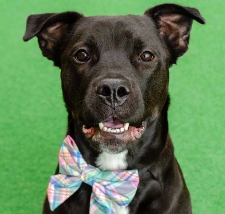 Photo of Octavia