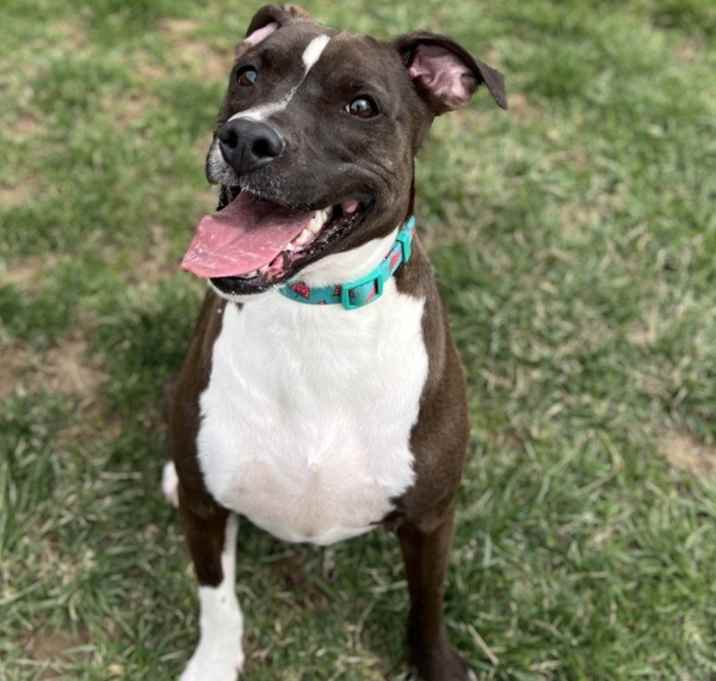 Photo of Marley