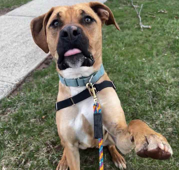 Photo of Thor