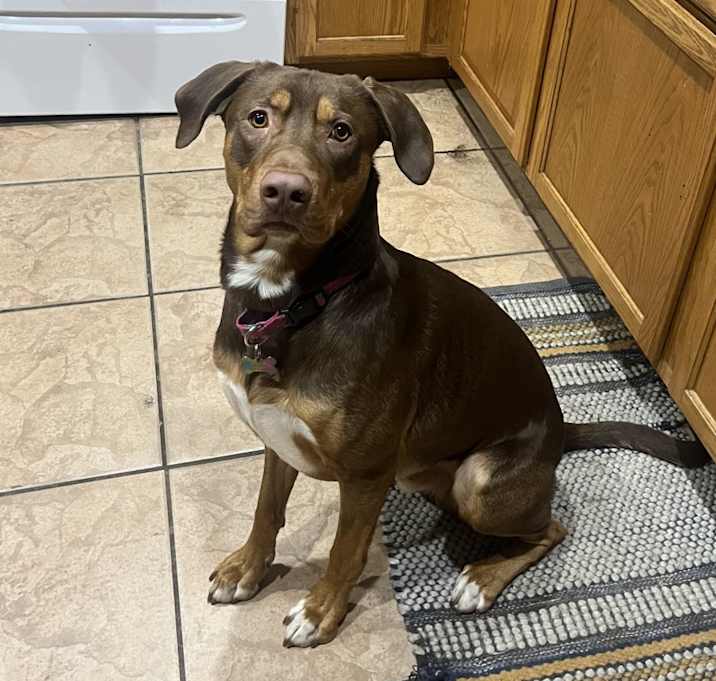 Photo of Duke