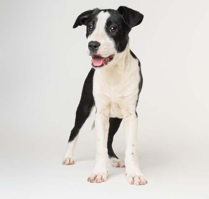 Photo of Orio - M