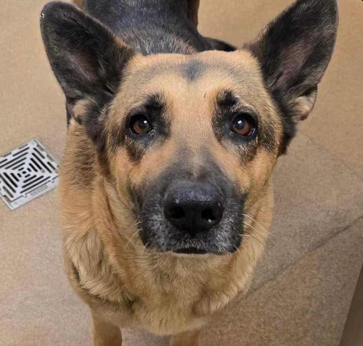 Photo of Ella