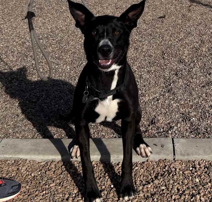 Photo of Zuko