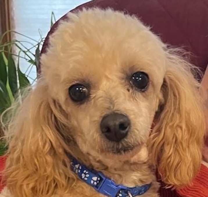 Photo of Tina