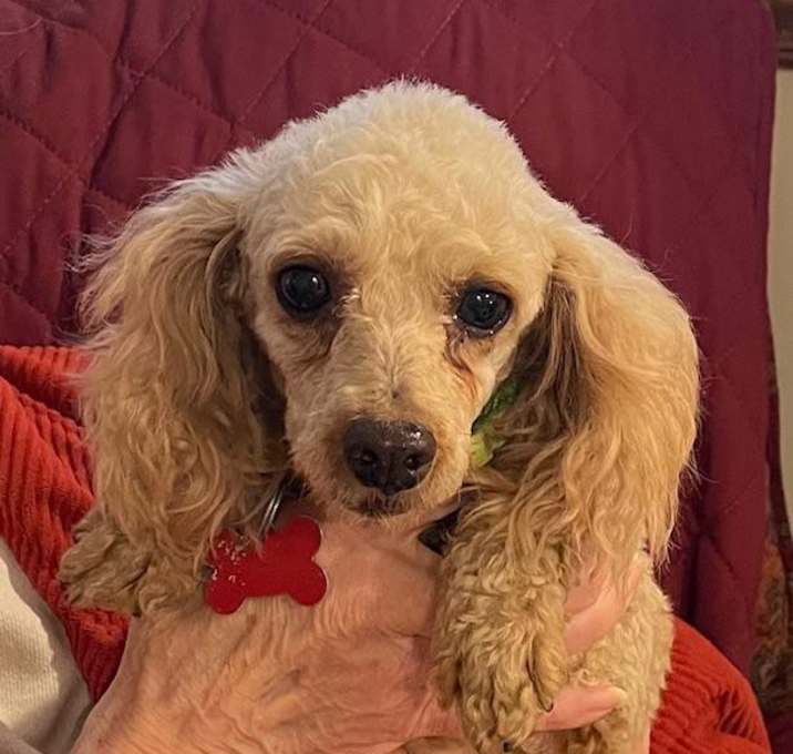 Photo of Hazel
