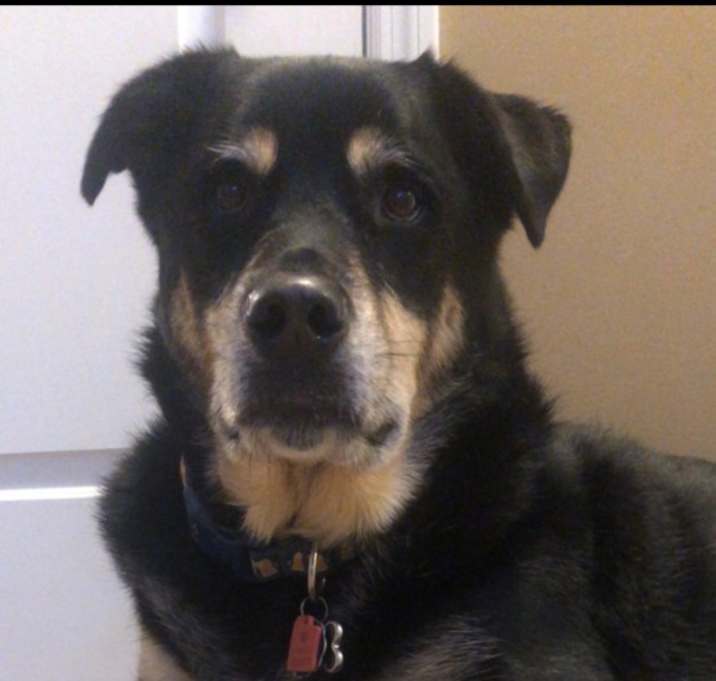 Photo of Jax