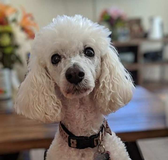 Photo of Tina